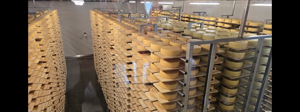 gita_vespa_club_limmattal_2025_8